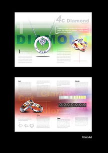 Soar Design Studio 您的全方位专业设计合作伙伴